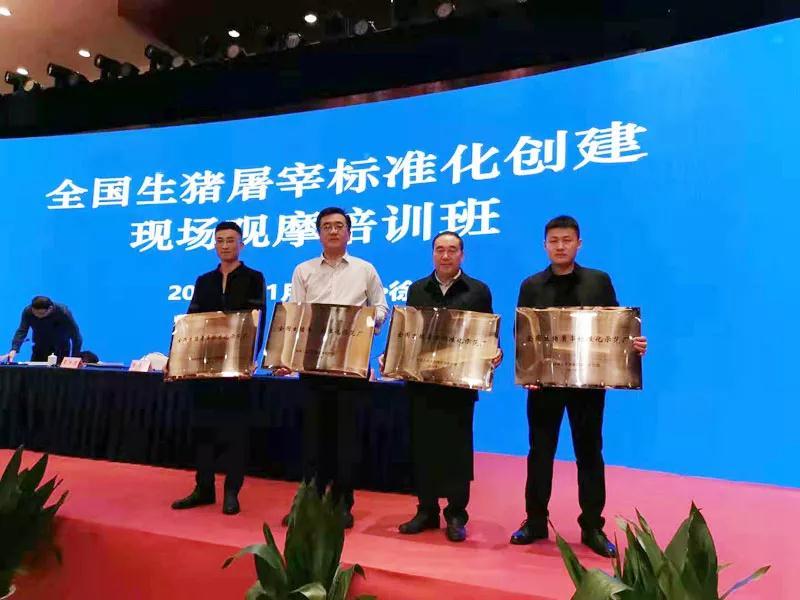 2021128135150435 XPJ·(澳门区)公司官方网站